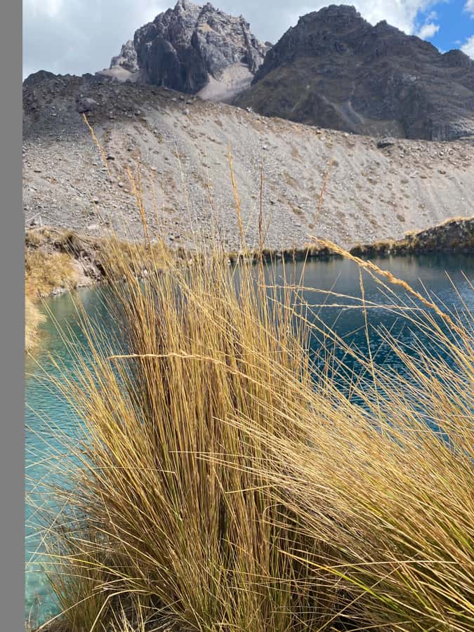 From Cusco: 7 lakes with hot springs in Ausangate and meals - What $38 really covers