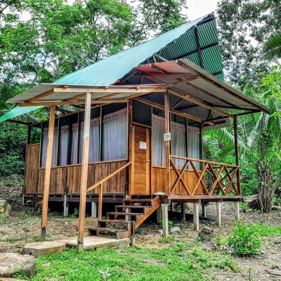 From Cusco: Amazon jungle for two days with sleeper bus and private lodge - Sandoval Lake by paddle craft