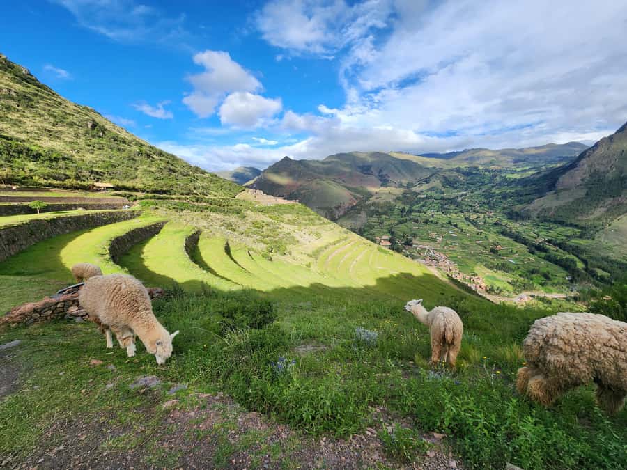 From Cusco: Chinchero, Moray, Maras, Ollantaytambo and Pisaq - Ollantaytambo gives you the clearest sense of Inca power