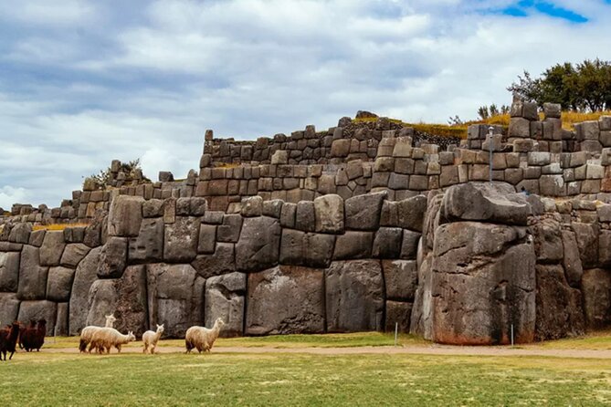 From Cusco City Tour Four Ruins Half Day Tour - Timing, transport, and group size