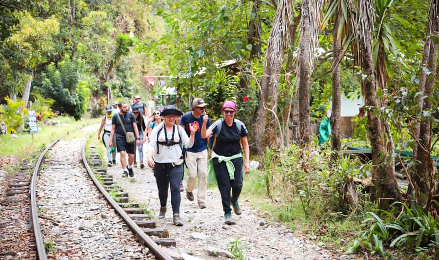 From Cusco: Full-Day Round-Trip Train Tour to Machu Picchu - Why the train route makes this a full-day experience