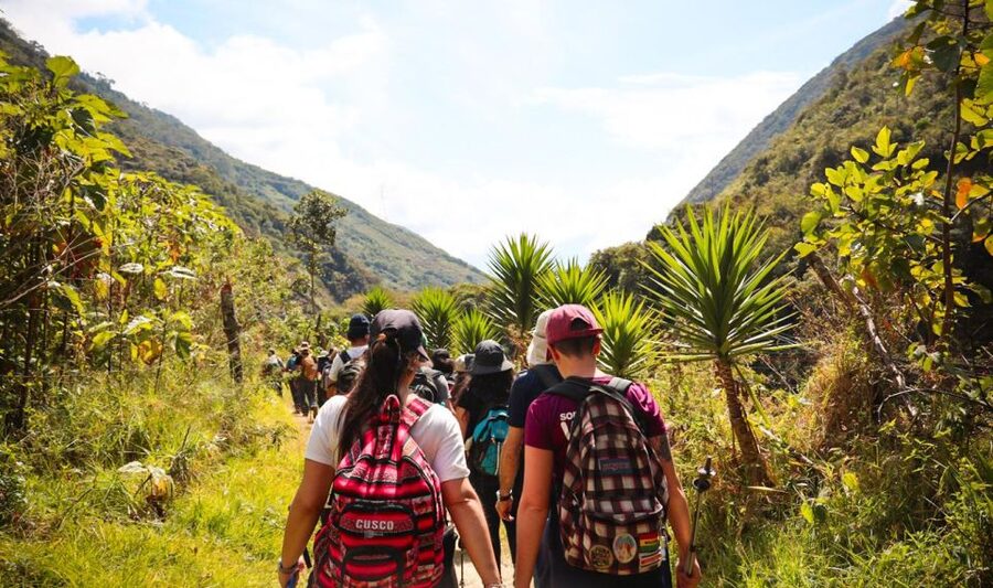 From Cusco: Full-Day Round-Trip Train Tour to Machu Picchu - How well organized is the day?