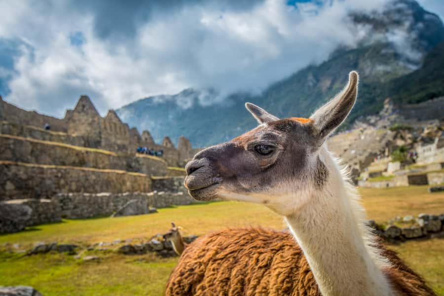 From Cusco: Machu Picchu Full-Day Guided Tour - What to pack for this particular trip