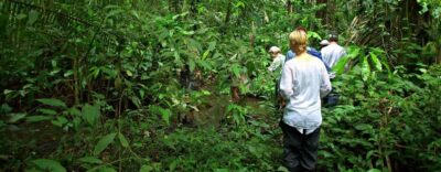 Manu National Park 3 Day Tour