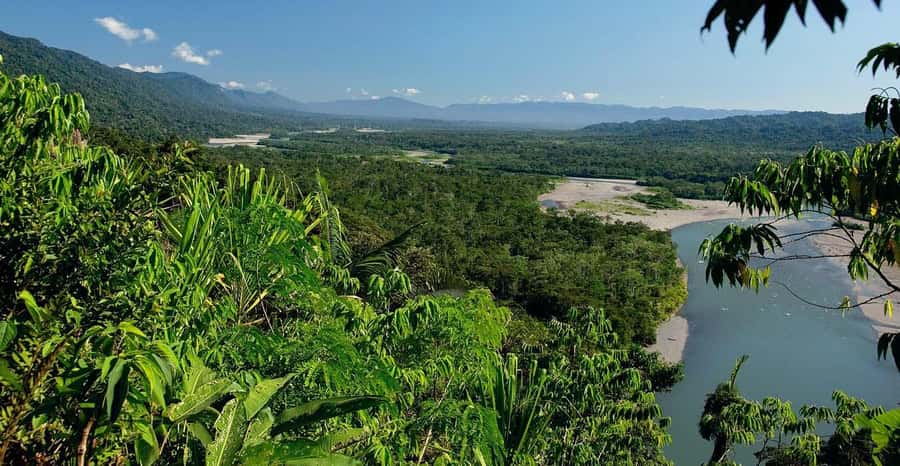 From Cusco: Manu National Park 3 Day Tour - The best parts for wildlife lovers