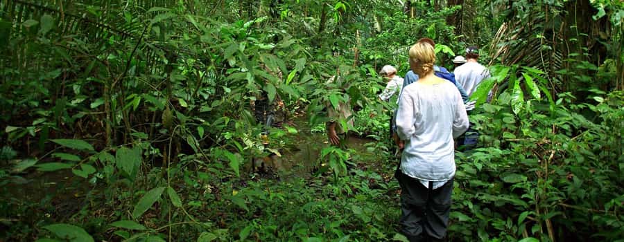 From Cusco: Manu National Park 3 Day Tour - Day 2: Coca, rescued animals, and the Alto Madre de Dios