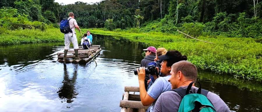 From Cusco: Manu National Park Tour & Accommodation 3 Days - From Cusco to Manu, a day of changing worlds