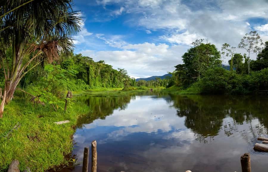 From Cusco: Manu National Park Tour & Accommodation 3 Days - Food, lodging, and the real level of comfort