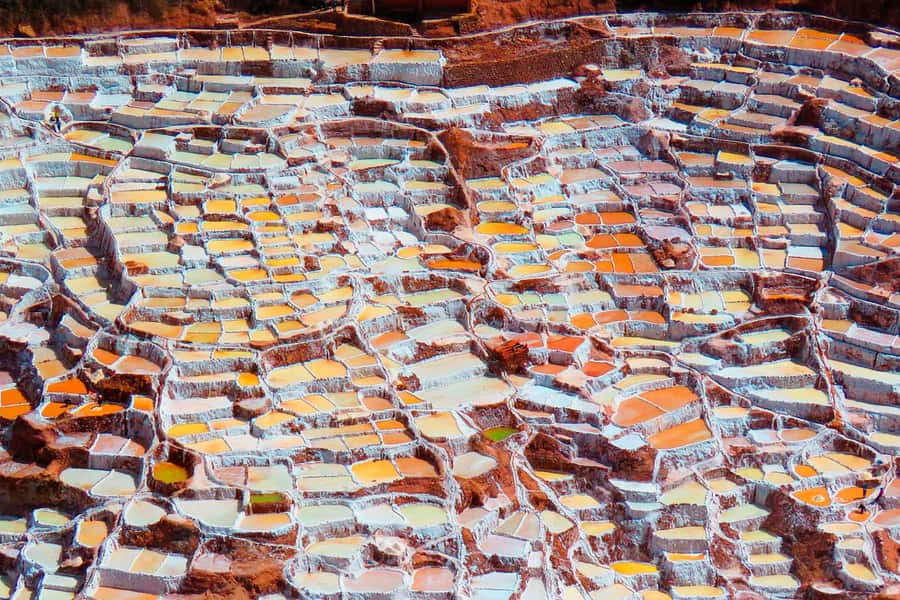 From Cusco: Maras Salt Mines and Moray Half-Day Tour - The guide makes the difference