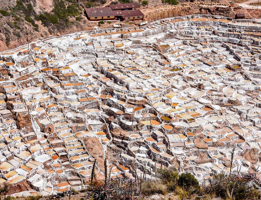 From Cusco: Moray, Maras Salt Mines & Chinchero Weavers Tour - The Maras Salt Mines, a working ancient site