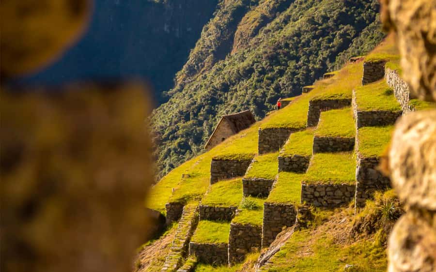 From Cusco: One-Day Round Trip to Machu Picchu by Train - Free time for photographs, but not for a mountain climb