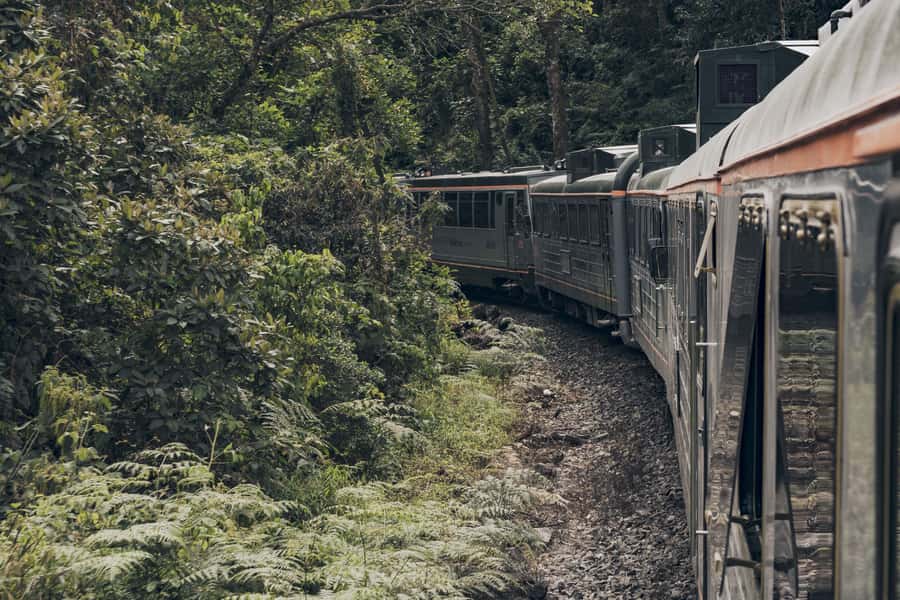 From Cusco: One-Day Tour to Machu Picchu - Who will enjoy this tour most
