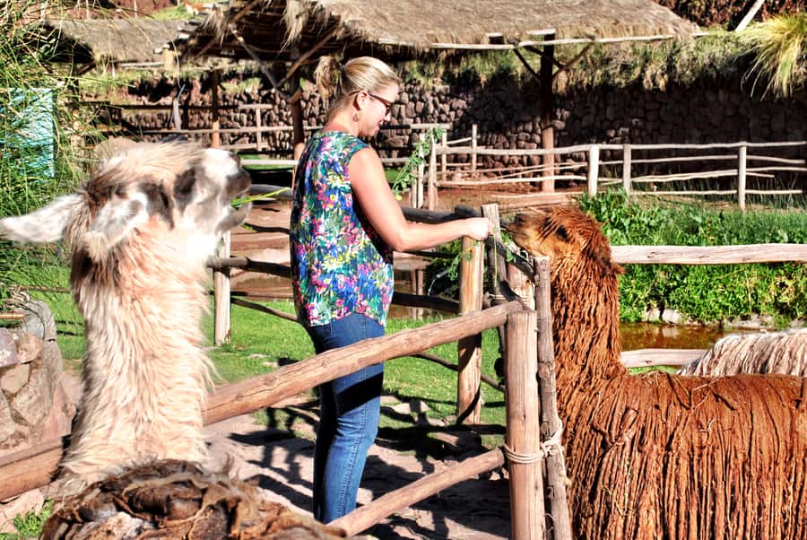 From Cusco: Private Pisac Ruins and Alpaca Farm Day Trip - Why Pisac makes a good short trip from Cusco