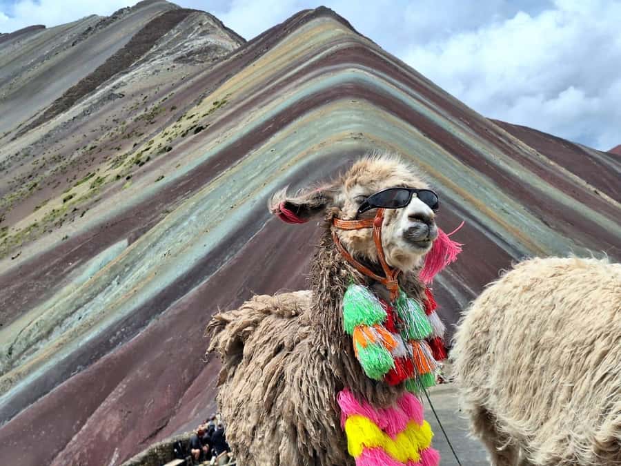 From cusco: Rainbow Mountain ATV Tour with meals - Is $65 a fair price?
