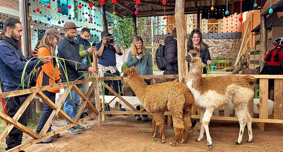 From Cusco: Sacred Valley & Maras Salt Mines Tour with Lunch - A long but rewarding day from Cusco