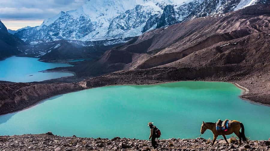 From Cusco: Salkantay trek 5 days/4 nights meals included - Day two: The Salkantay Pass at 4,650 meters