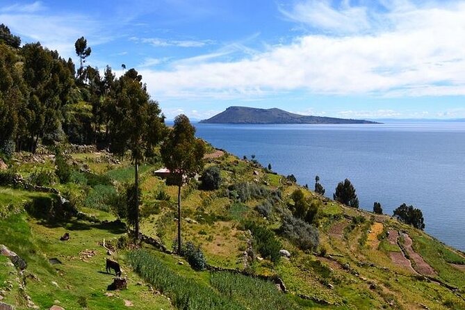 From Cusco to Lake Titicaca: 2-Day Homestay Tour - Leaving Cusco at 9:30 pm for Puno