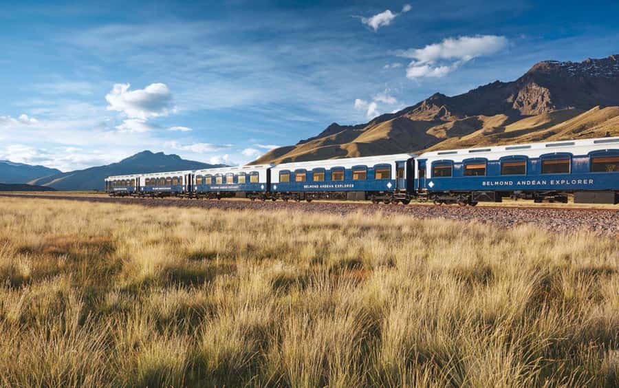 From Puno: Travel to Cusco in Titicaca Train All Inclusive - Music, dancing, and the Piso Sour demonstration