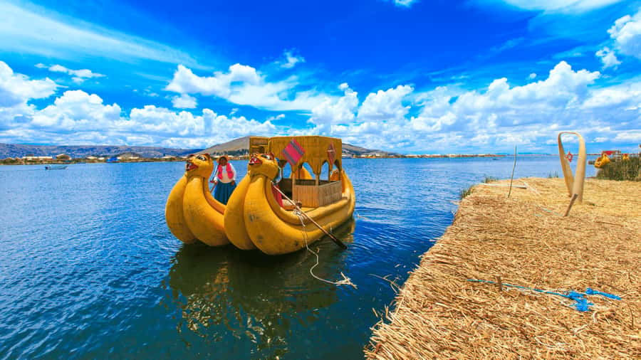 From Puno: Travel to Cusco in Titicaca Train All Inclusive - Timing, transfers, and the details worth checking