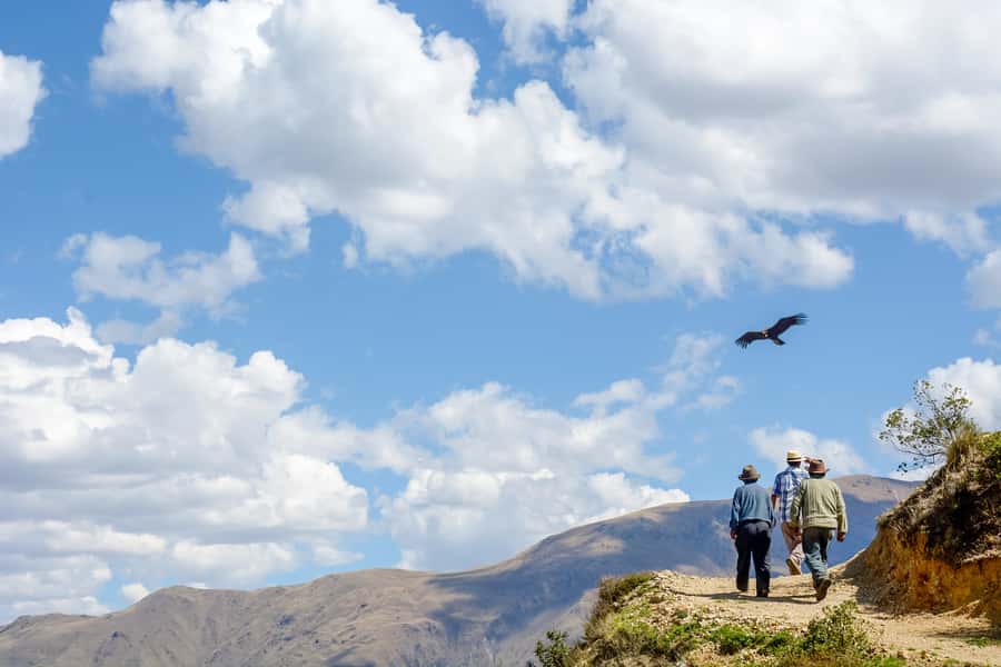 Full-Day Condor Viewpoint & Inca Sites Tour - Huaco Viewpoint and the Andean condor