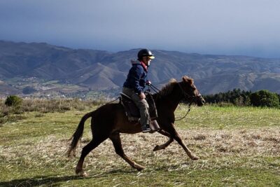 Half day Horseback Riding tour around Sacsayhuaman park