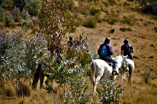 Horse Riding Chacan Mountain And Temple Of The Moon - Choosing the right horse for your ability