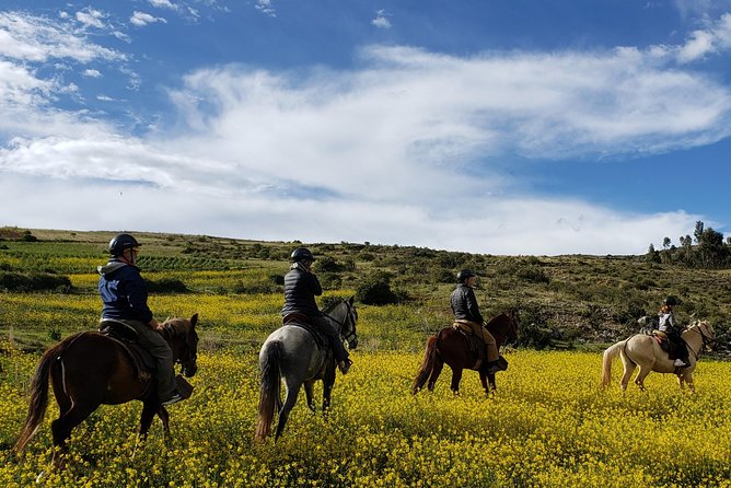 Horseback Tour in cusco to Temple of the Moon & Hidden temples - Who will enjoy this most