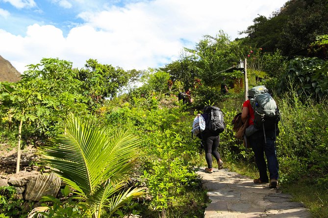 Inca Jungle Premium to Machu Picchu 4-Day and 3-Nights - Who should book this route?