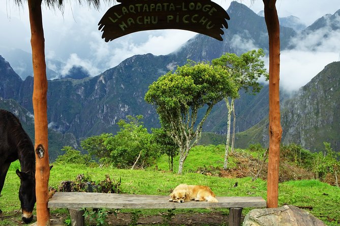 Inca Jungle Premium to Machu Picchu 4-Day and 3-Nights - Day 1: From Cusco to Málaga Pass by bike
