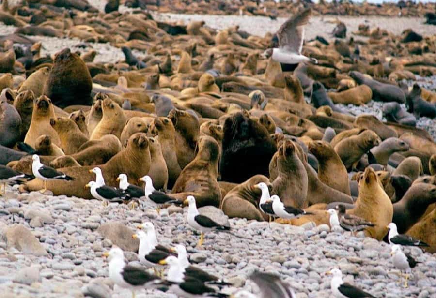 Lima: 7-Day Inca Tour with Flights and Machu Picchu - Cusco demands a quiet acclimatization day