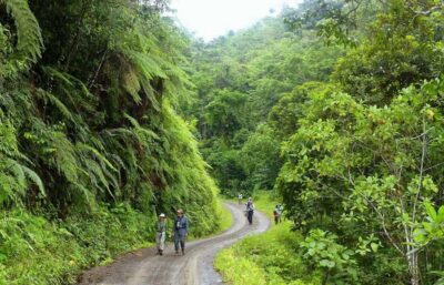 Living Nature from Cusco: 3 Days Manu Jungle all inclusive