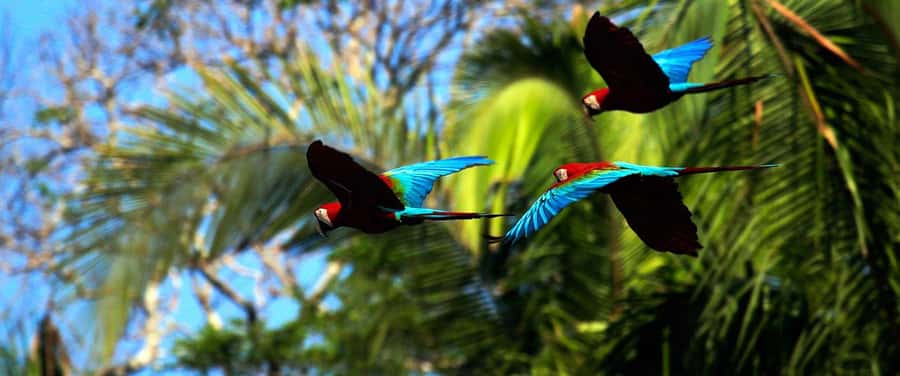 Living Nature from Cusco: 3 Days Manu Jungle all inclusive - Lodges, food, and group size