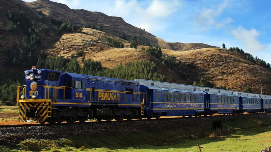Machu Picchu: 1-day tour by Vistadome Panoramic train - Lunch and Free Time in Aguas Calientes