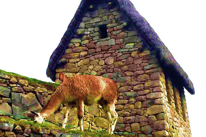 Machu Picchu 1 Day Tour from Cusco by Train - What the $355 price really covers