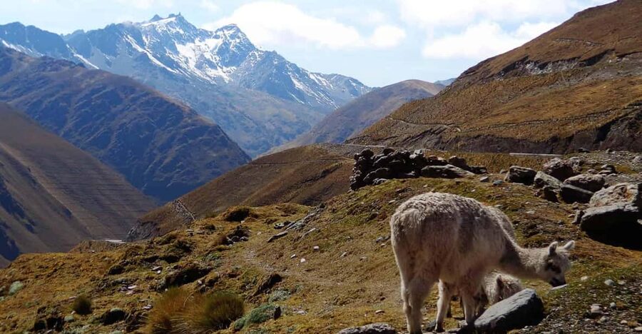 Machu Picchu 2 Days / 1 Night (By Bus) - Who should choose this Machu Picchu trip
