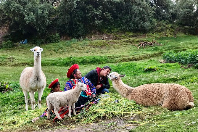 Machu Picchu Full Day from Cusco - Walking through Machu Picchu with a local guide