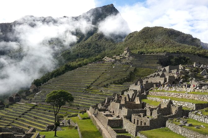Machu Picchu Full Day Tour from Cusco - The return to Cusco