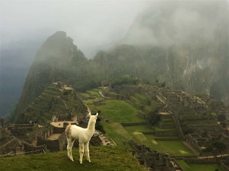 Machu Picchu: Private Tour Guide Service - Photo stops and the problem of crowds