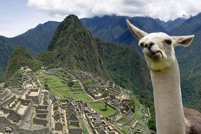 Machu Picchu Small Group Day Tour from Cusco - Entering Machu Picchu with your guide