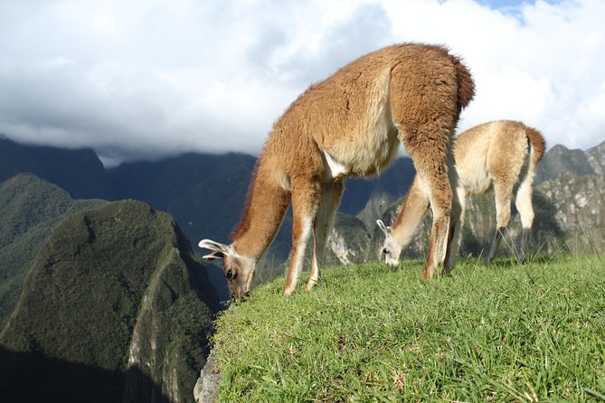 Machu Picchu Tour From Cusco Full Day - What the small group size really means