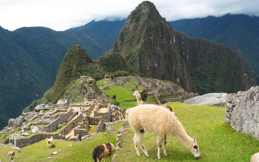 Machupicchu tour by tourist train in 2 days - Entering Machu Picchu by bus