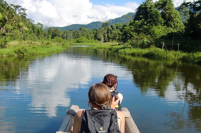 Manu Adventure (4 Days) - Day 4: The early river return to Cusco