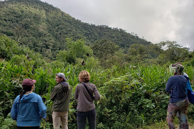 Manu National Park Tour 4days/3night - Meals are a real strength