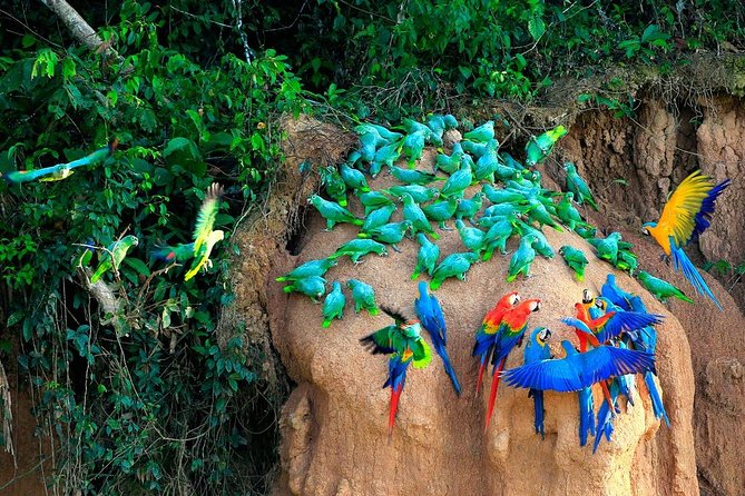 Manu National Park Tour 4days/3night - How the $470 price measures up
