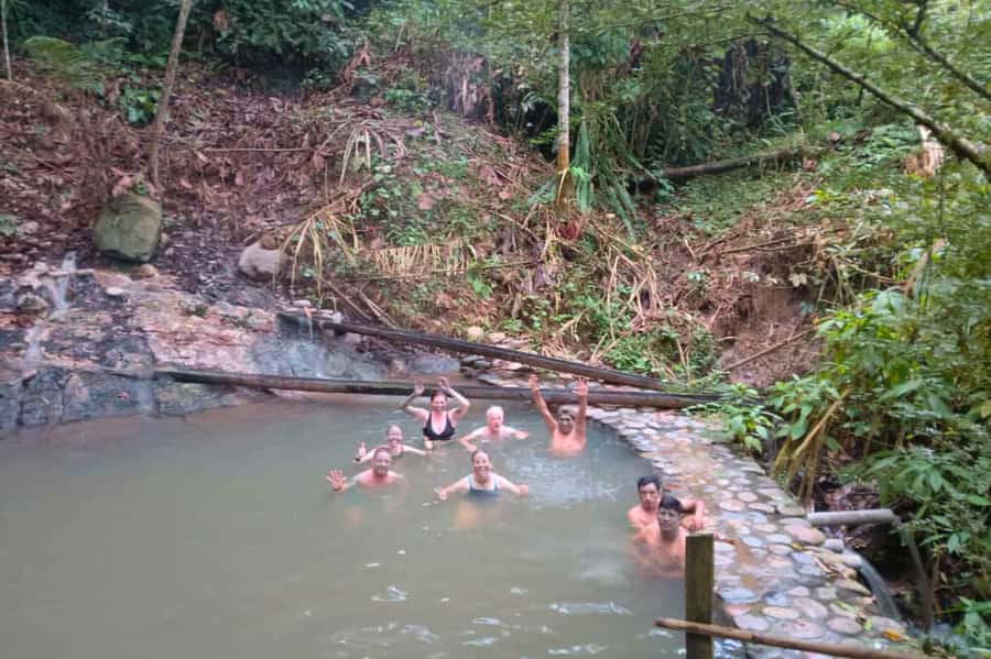 Manu National Park Tours from Cusco 5 Days - Day 5: Bambu Lodge back to Cusco