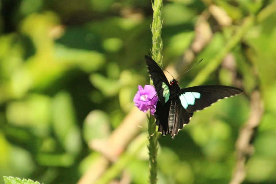 Manu National Park Tours from Cusco 5 Days - The main concern: pickup and agency communication