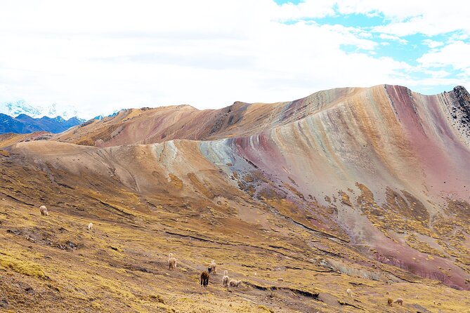 Palccoyo Rainbow Mountain Full Day Tour from Cusco - Checacupe and the Inca rope bridge