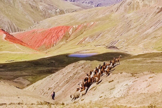 Palccoyo Rainbow Mountains Full Day Tour from Cusco - The 40-minute walk at 4,900 meters