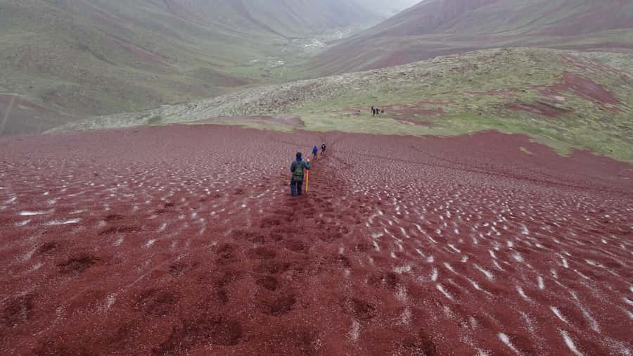 Peru: Rainbow Mountain and Red Valley View Point Tour - Guide quality can shape the whole experience