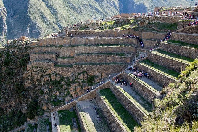 Private Tour: 6 days|| Cusco || MachuPicchu ||Rainbow Mountain|| - Day 3: Machu Picchu and the long return to Cusco